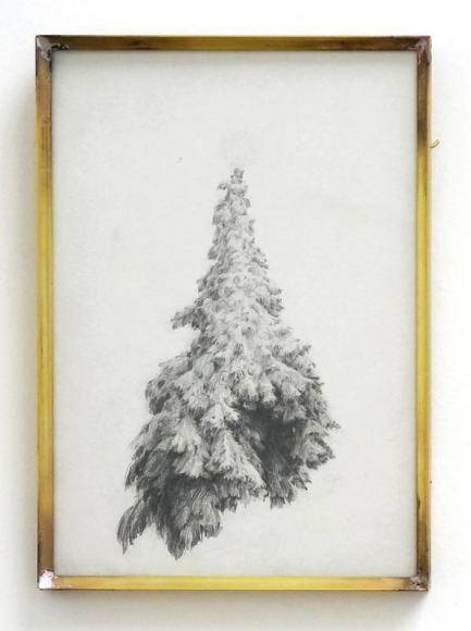 Koo Hyunmo. Rebellious Tree, 2017. Pencil on paper, 21.6 x 15.2 cm. Courtesy of the artist & PKM Gallery.