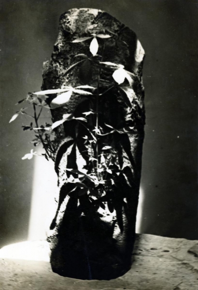 Constantin Brâncuşi - Trunk of a Chestnut Tree in the Studio, c. 1934. Gelatin silver print, printed c. 1934, ; Bruce Silverstein Gallery