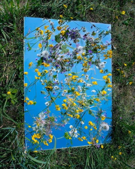 Brea Souders - Mille Fleurs, 2011 Chromogenic print | Bruce Silverstein Gallery
