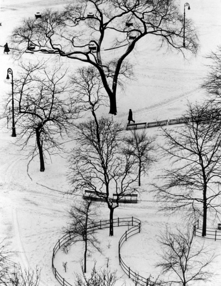 André Kertész - Washington Square Day, 1954 ; Bruce Silverstein Gallery