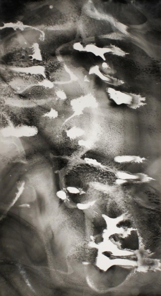 Larry Silver - Untitled #12, 2010 Gelatin silver print | Bruce Silverstein Gallery
