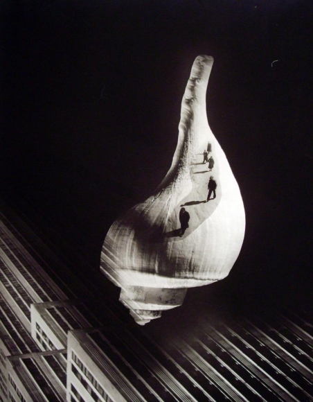City Shell, 1938, Gelatin silver print. 19 1/2 x 15 inches