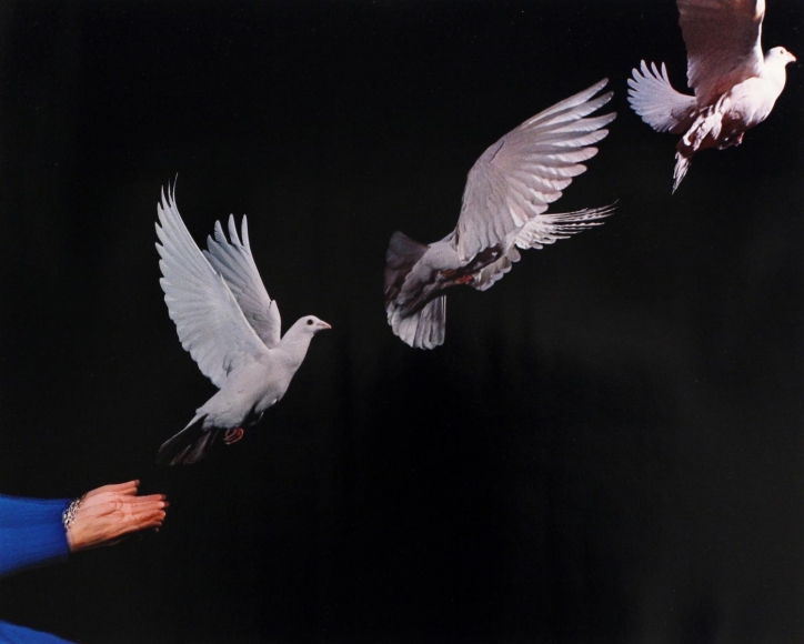 Pigeon Released, 1938-1973, Dye transfer print