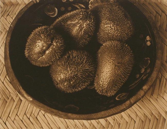 Chayotes Batea Pelale, Mexico, 1924, Platinum print with varnish mounted to board, printed c. 1924