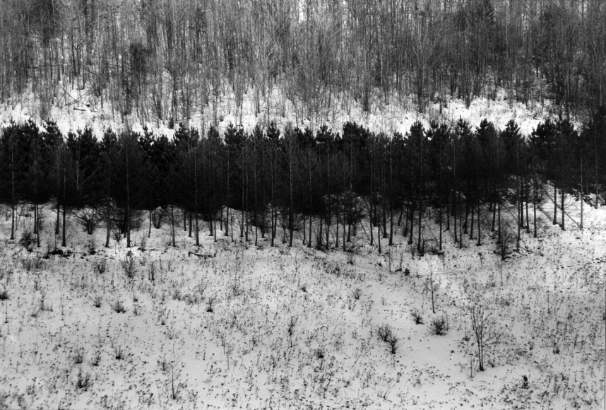 Untitled, 1958, Gelatin silver print, printed c. 1958