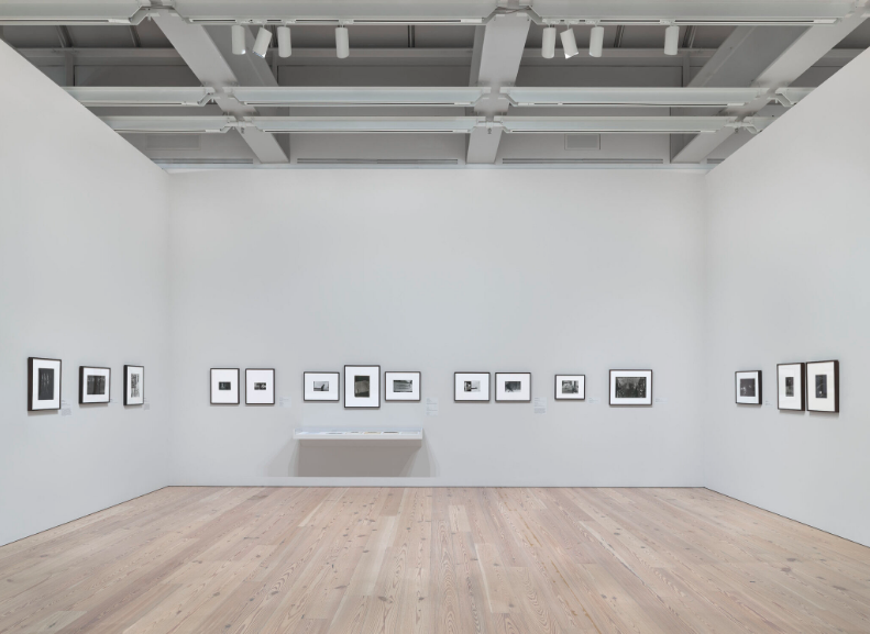Installation view of Working Together: The Photographers of the Kamoinge Workshop (Whitney Museum of American Art, New York, November 21, 2020–March 28, 2021). From left to right: Louis H. Draper, Congressional Gathering, 1959; Anthony Barboza, Pensacola, Florida, 1966; Adger Cowans, Jackson Mississippi, 1963; Shawn Walker, Tiffany’s Window on 57th Street, NYC, c. 1968–72; Herman Howard, New York, 1963; Al Fennar, Out of the Dark / Bowery, 1967; Ming Smith, Untitled (Harlem, NY), c. 1973; Adger Cowans, Shadows, 1966; Anthony Barboza, Self-Portrait, NYC, c. 1978; Beuford Smith, Boy on Swing, Lower East Side, 1970; Shawn Walker, Man with Bubble, Central Park (near Bandshell), c. 1960–79; Shawn Walker, Soho Display Window, NYC, c. 1970s; Herbert Randall, Untitled (New Jersey), 1960s; Louis H. Draper, Untitled (Santos), 1967; Louis H. Draper, Untitled, c. 1960. Photograph by Ron Amstutz