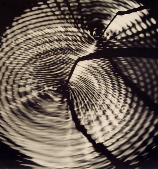 Werner Bischof - Interference Pattern on the Surface of a Pool of Mercury from Fwo Vibratory Sources, Switzerland, 1944 Gelatin silver exhibition print mounted to masonite | Bruce Silverstein Gallery