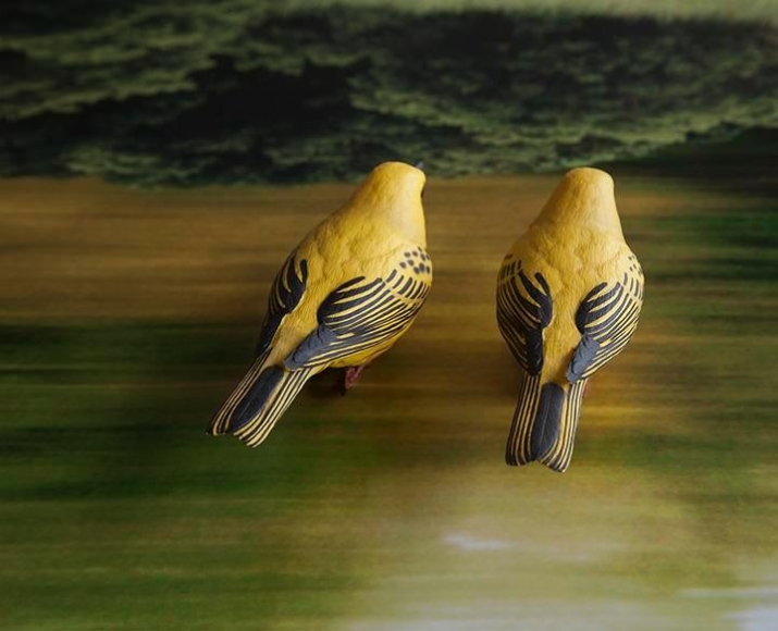 Yellow Birds, 2014, C-print