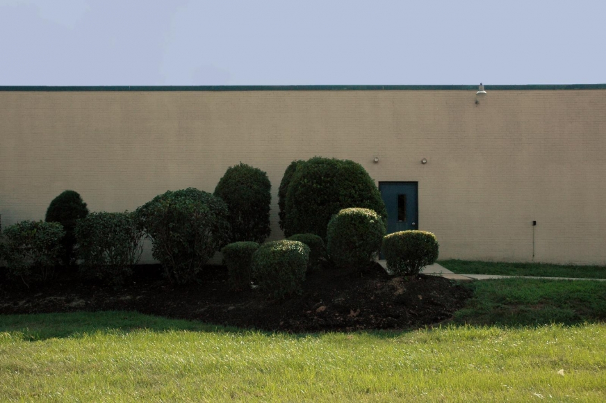Bushes in Front of Tech School, 2001-2006 Archival pigment print mounted to board 22 1/2 x 34 inches