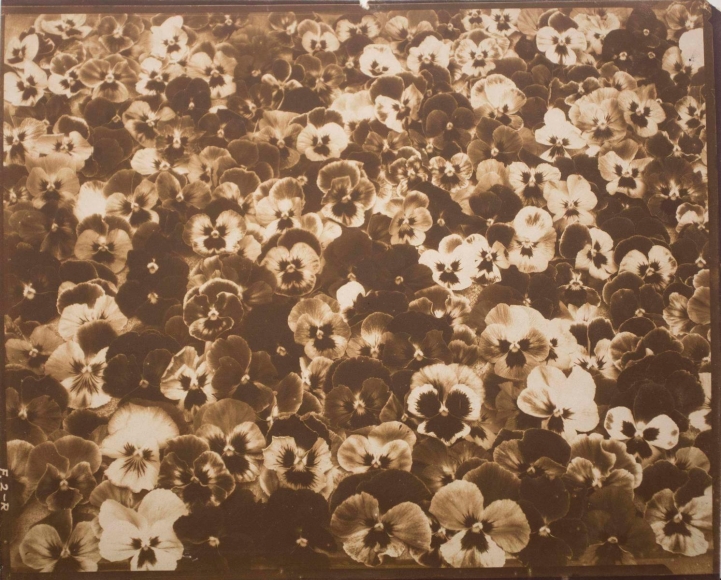 Edward Steichen - Friends, Romans, and Countrymen, c. 1920 | AIPAD 2019 | Bruce Silverstein Gallery
