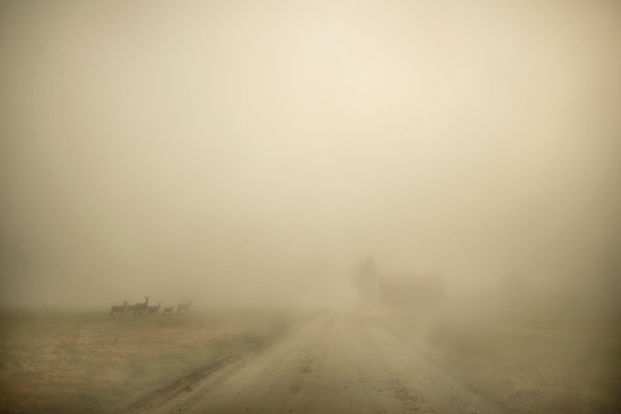 Todd Hido - #11798-3574, 2017 | Paris Photo 2018 | Bruce Silverstein Gallery