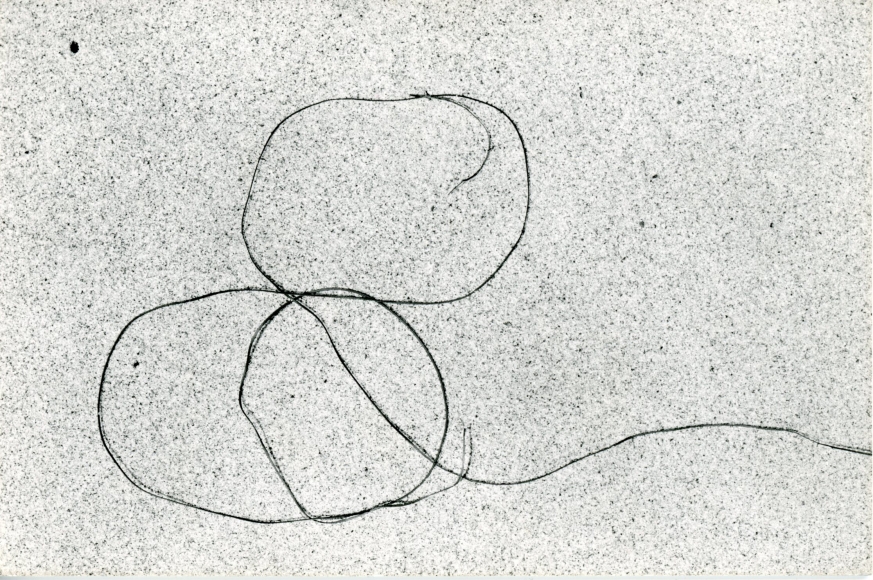 Seaweed #3 (Card), 1947, Gelatin silver print flush-mounted to board