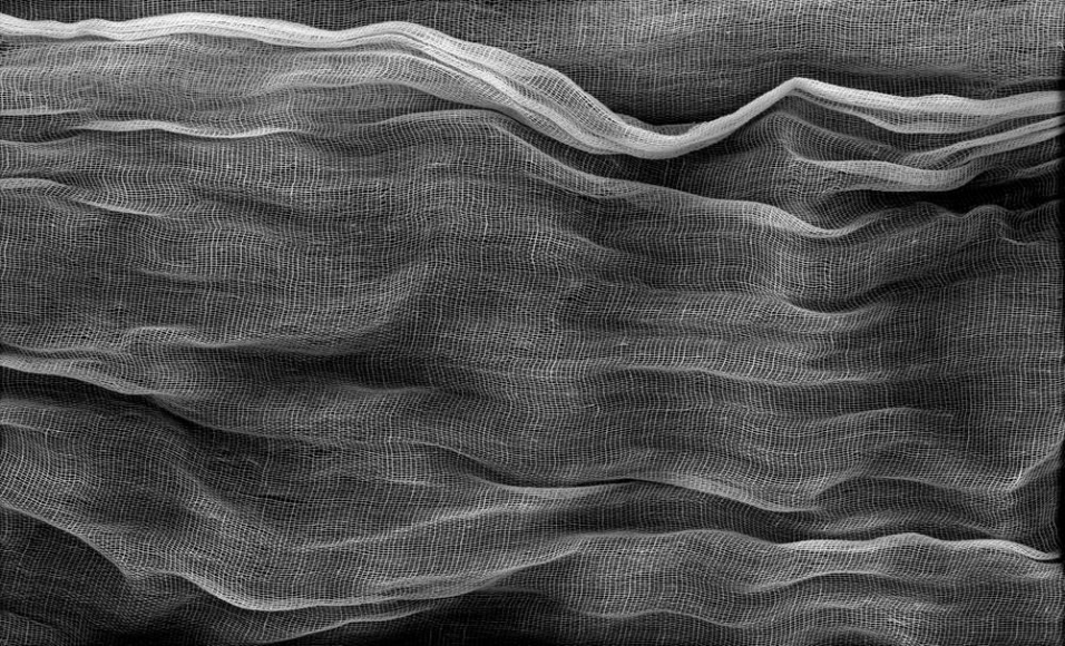 Composition #12, 2006, Archival inkjet print