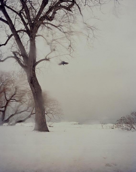 Todd Hido ; #10192-50, 2011 Archival pigment print ; Bruce Silverstein Gallery
