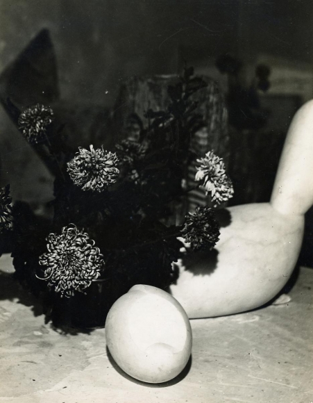 Constantin Brâncuşi - Still Life with Leda and the Newborn, c. 1922. Gelatin silver print, printed c. 1922 ; Bruce Silverstein Gallery
