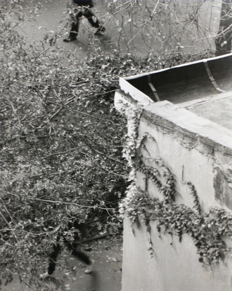 André Kertész - Untitled, 1962 ; Bruce Silverstein Gallery