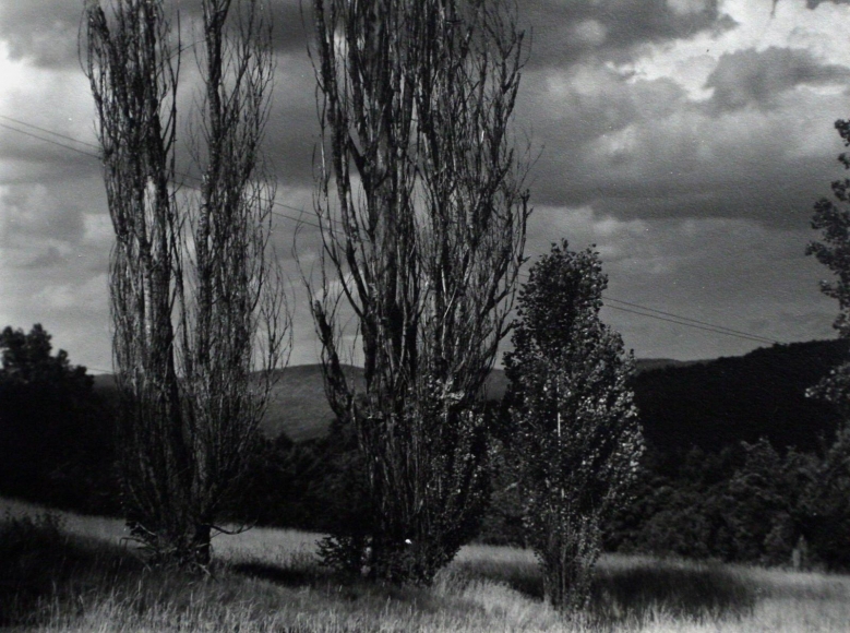 Alfred Stieglitz - Lake George, c. 1930 | Bruce Silverstein Gallery