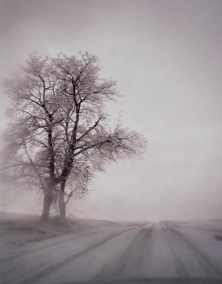Todd Hido ; #9216-b, 2010 Archival pigment print ; Bruce Silverstein Gallery