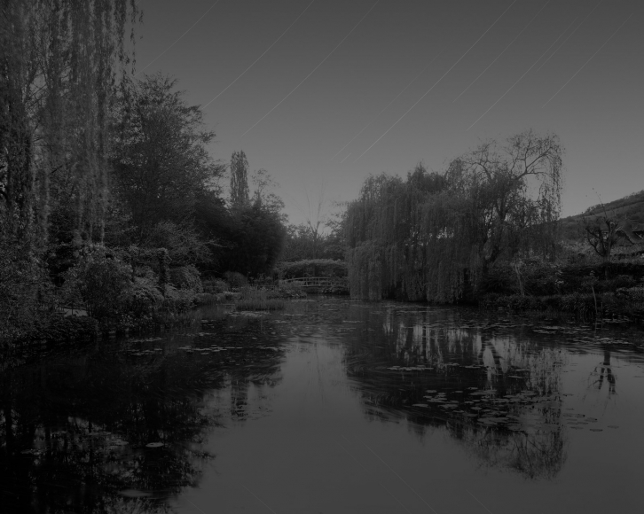 Elger Esser - Giverny I, Frankreich, 2010 Chromogenic print ; Bruce Silverstein Gallery