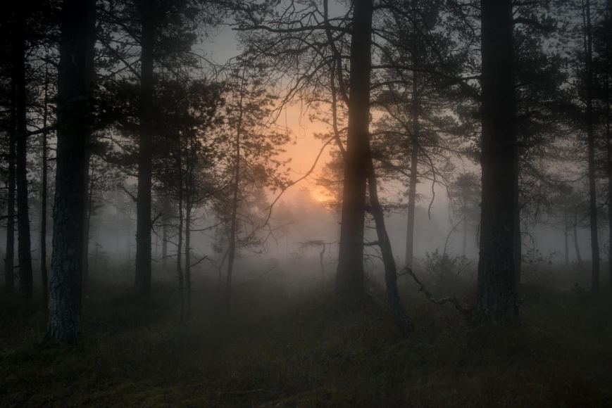 Todd Hido ; #11798-3868, 2017 Archival pigment print ; Bruce Silverstein Gallery