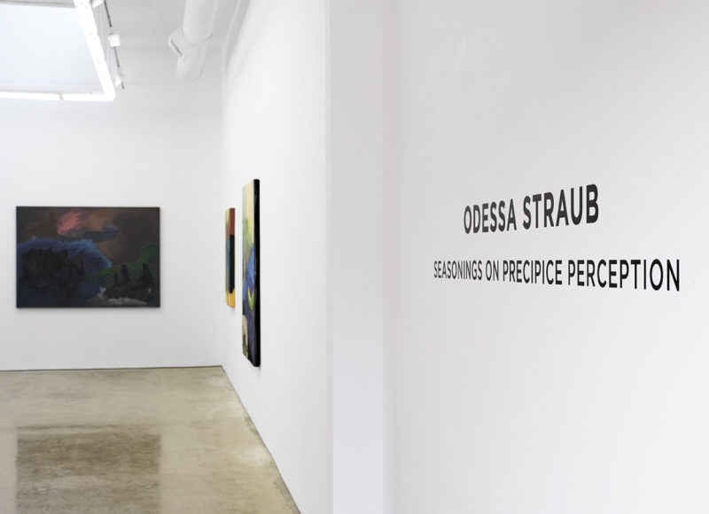 Installation View 1 of Seasonings on Precipice Perception