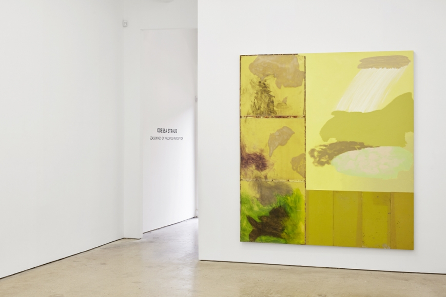 Installation View 2 of Odessa Straub Seasonings on Precipice Perception (July 10–August 28, 2015) Nino Mier Gallery, Los Angeles, CA
