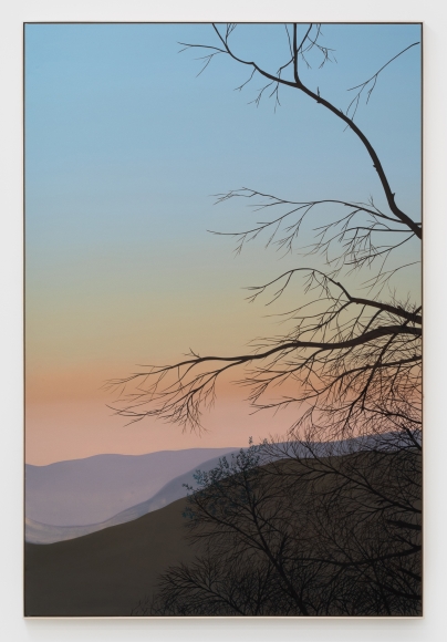 Jake Longstreth, In Glendale (Live Oak 3), 2019