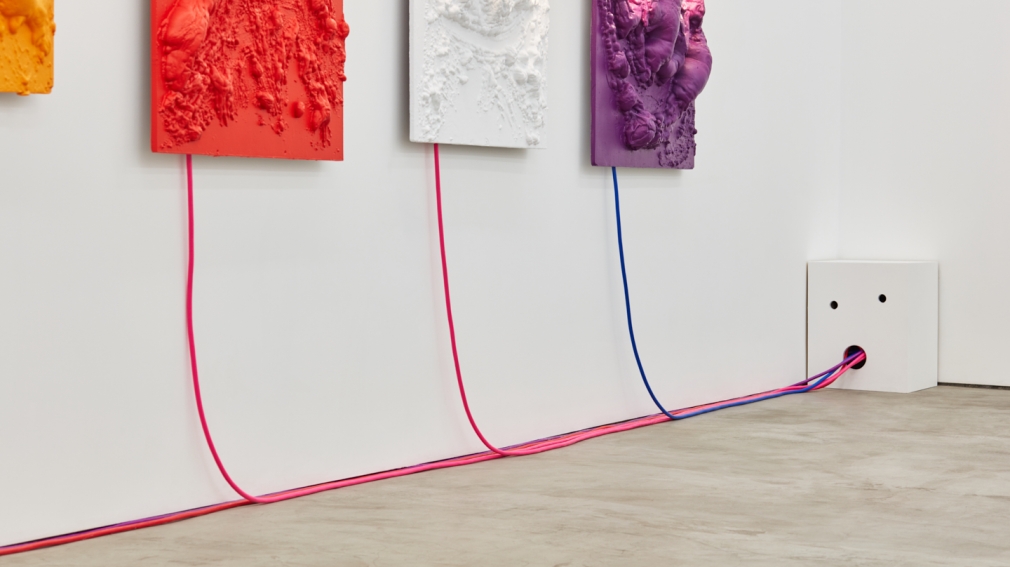 Installation View of "American Moses" by Jon Pylypchuk 2018 series of cast aluminum and LED lights series, particularly the multicolored cords