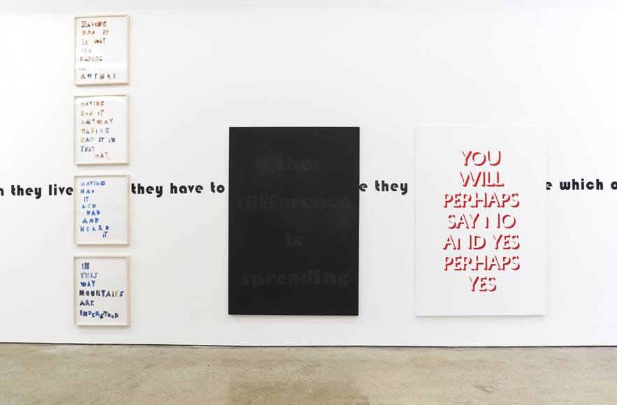 Installation View 1 of the difference is spreading