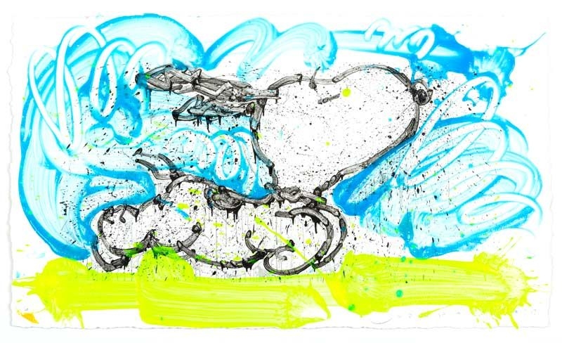 Tom Everhart The Skys The Limit 6