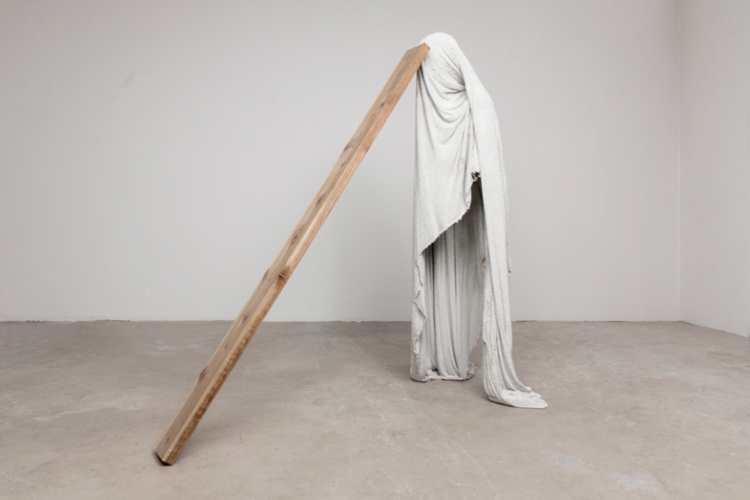 Steve Hash The Pity (Plank), 2019