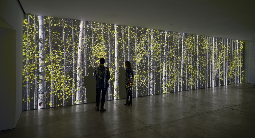 Jennifer Steinkamp, Blind Eye 3, 2019