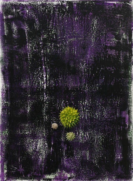 Dennis Hollingsworth The Dog, 2012 Lithography & silkscreen monoprint with archival inkjet collage No. 2 from a series of 26 unique monoprints