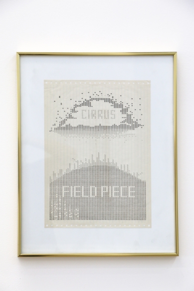 Barbara T Smith, Field Piece