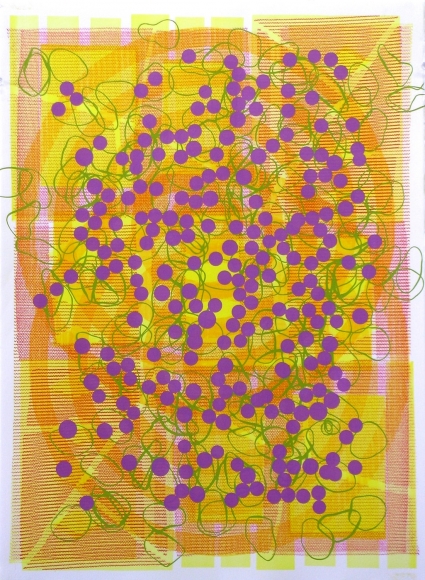 Jason Meadows Hybrids, 2004 Lithographic Monoprint, silkscreen, ed. 131, no. 8 30 x 22 in.