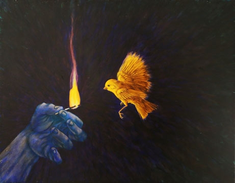 Five Fly
