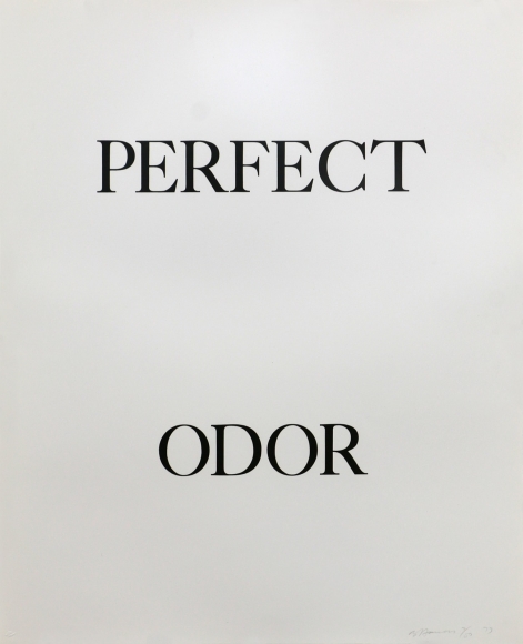 Bruce Nauman, Perfect Odor