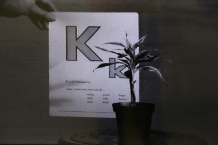 John Baldessari, Teaching a Plant the Alphabet