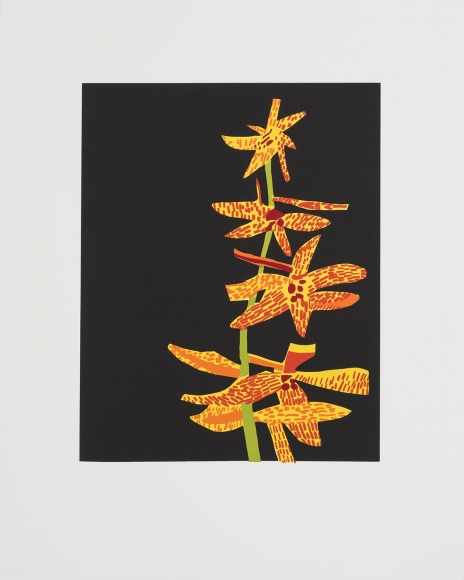 Jonas Wood Untitled, 2015 Silkscreen, ed. 50