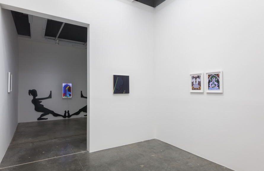 ALEXANDRIA SMITH In Praise of Shadows 2019