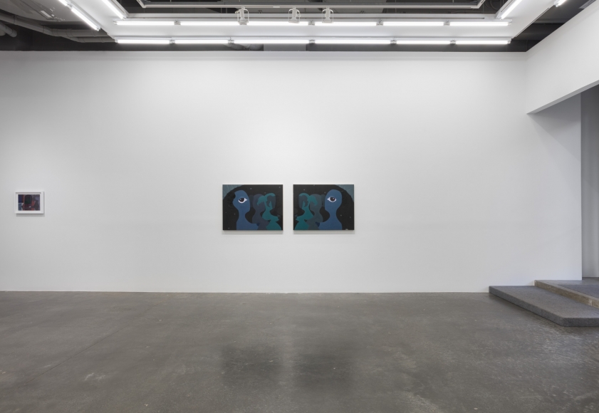 ALEXANDRIA SMITH In Praise of Shadows 2019
