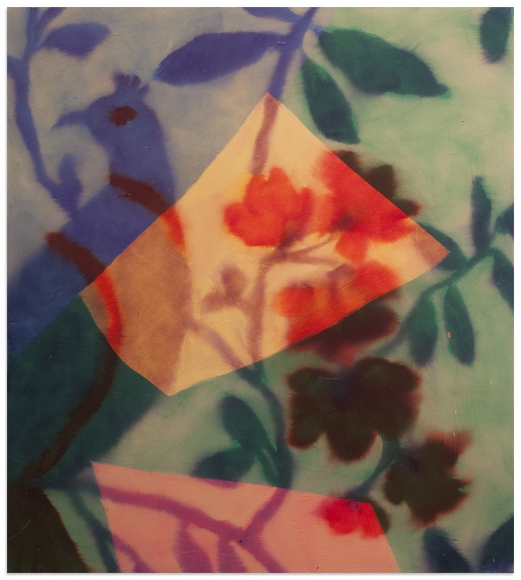 PATRICK SHOEMAKER Peacock, 2018
