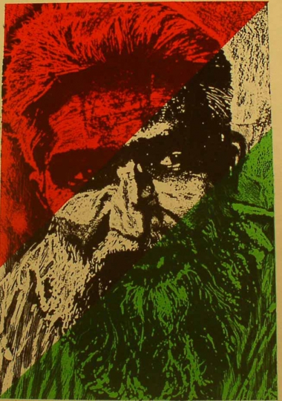 Jyoti Bhat Tr-Colored Face