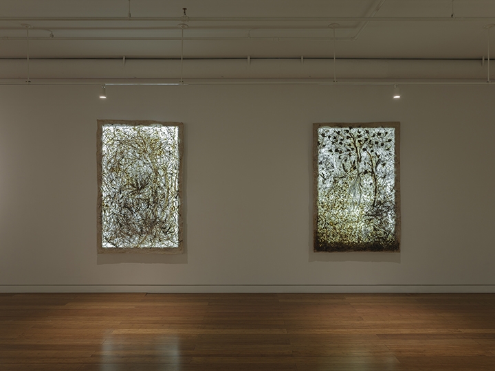 Fresh Earth Installation View