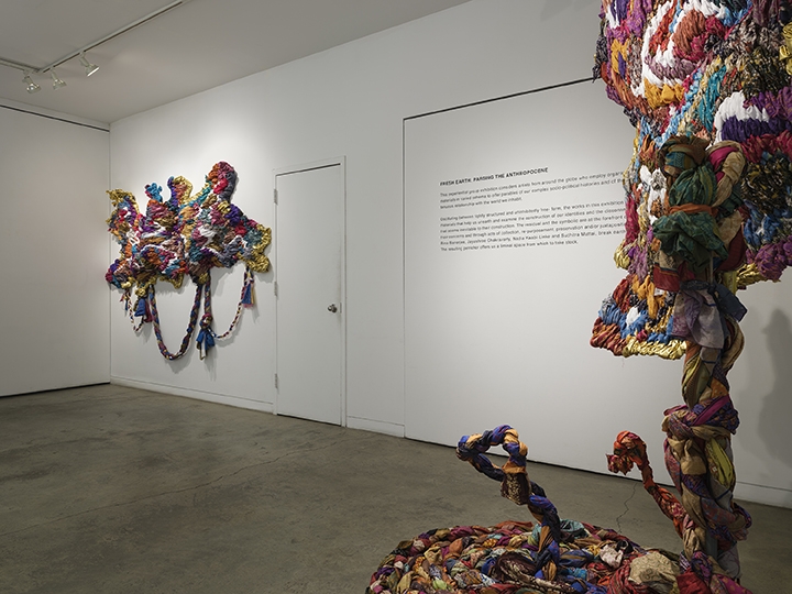 Fresh Earth Installation View