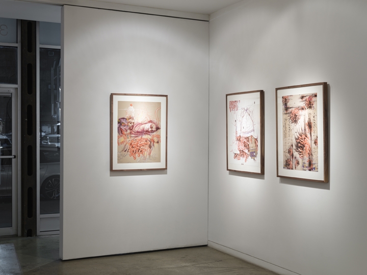 Khadim Ali & Sher Ali | What Now My Friend?, Installation view 13