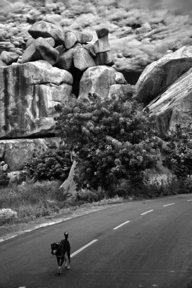 Raghu Rai ROCKS SERIES 6