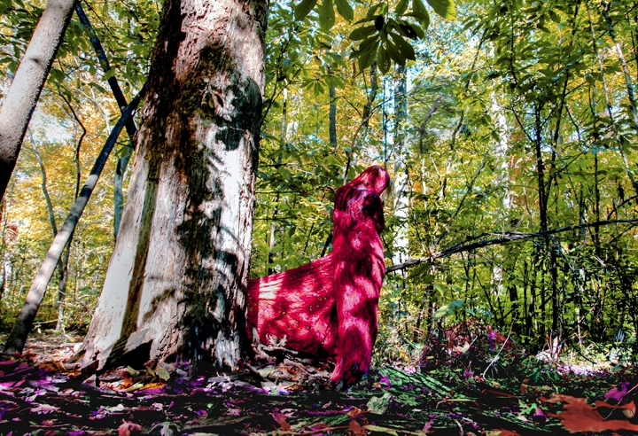 Sarah Ahmad From the series 'Bol' (6)