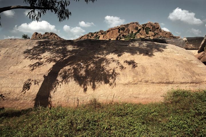 Raghu Rai SHADOW TREE, HAMPI