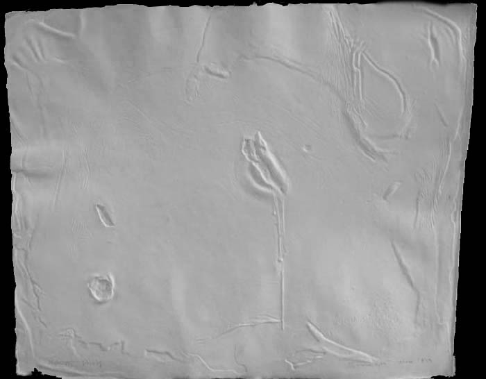 Somnath Hore WOUND SERIES 8